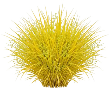 All Gold Japanese Forest Grass cut-out illustration