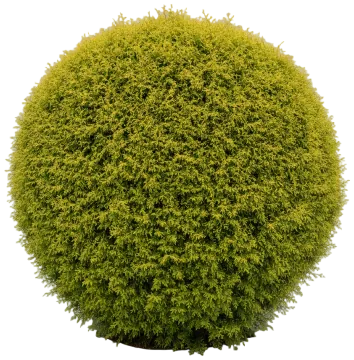 Golden Globe cut-out illustration