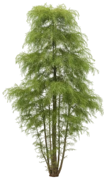 Falling Waters cut-out illustration