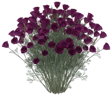 Purple Gleam cut-out illustration