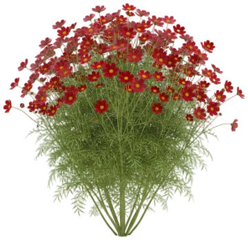 Cosmic Red cut-out illustration