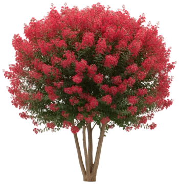 Red Rocket cut-out illustration