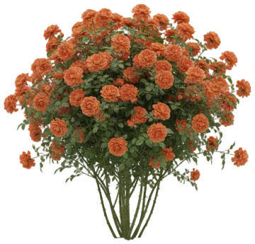 Crown Princess Margareta cut-out illustration