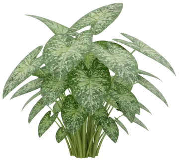 Mojito cut-out illustration