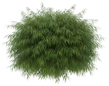 Japanese Forest Grass cut-out illustration