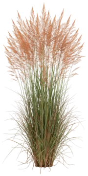 Blaze cut-out illustration