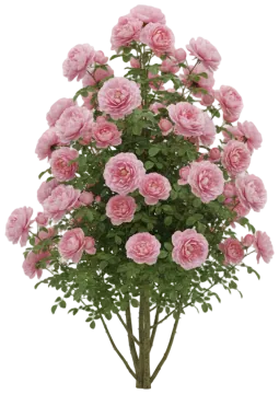 Martha Stewart cut-out illustration
