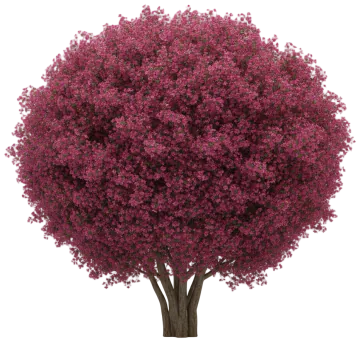 Profusion cut-out illustration