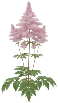 Queen of the Prairie cut-out illustration
