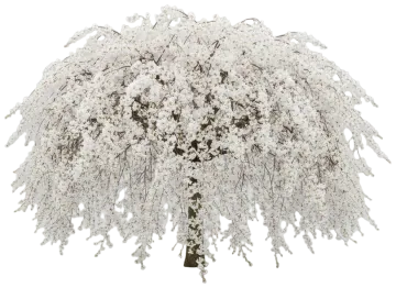 Snow Fountains cut-out illustration