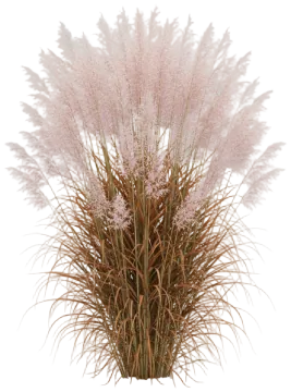 Shenandoah cut-out illustration